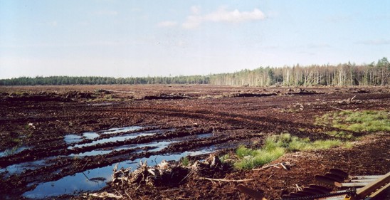 Torvbrytning i Skftesmyr