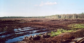 Skäftesmyr