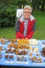 Anders Hansen